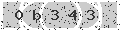 verify code