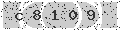 verify code
