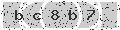 verify code